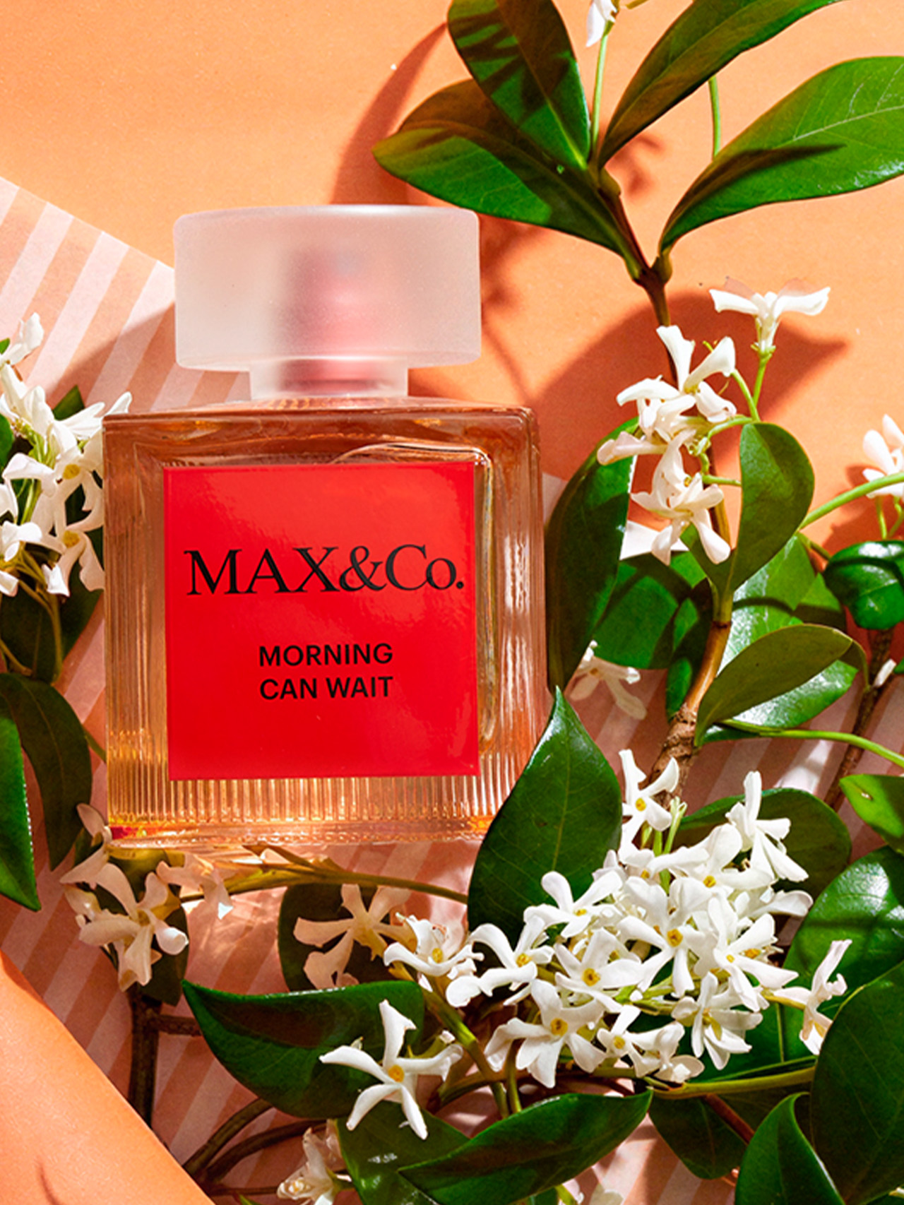 Profumi Maxandco Banner Box Desktop 2 MAX&Co.