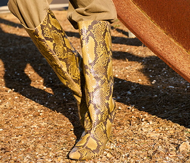 Statement shoes